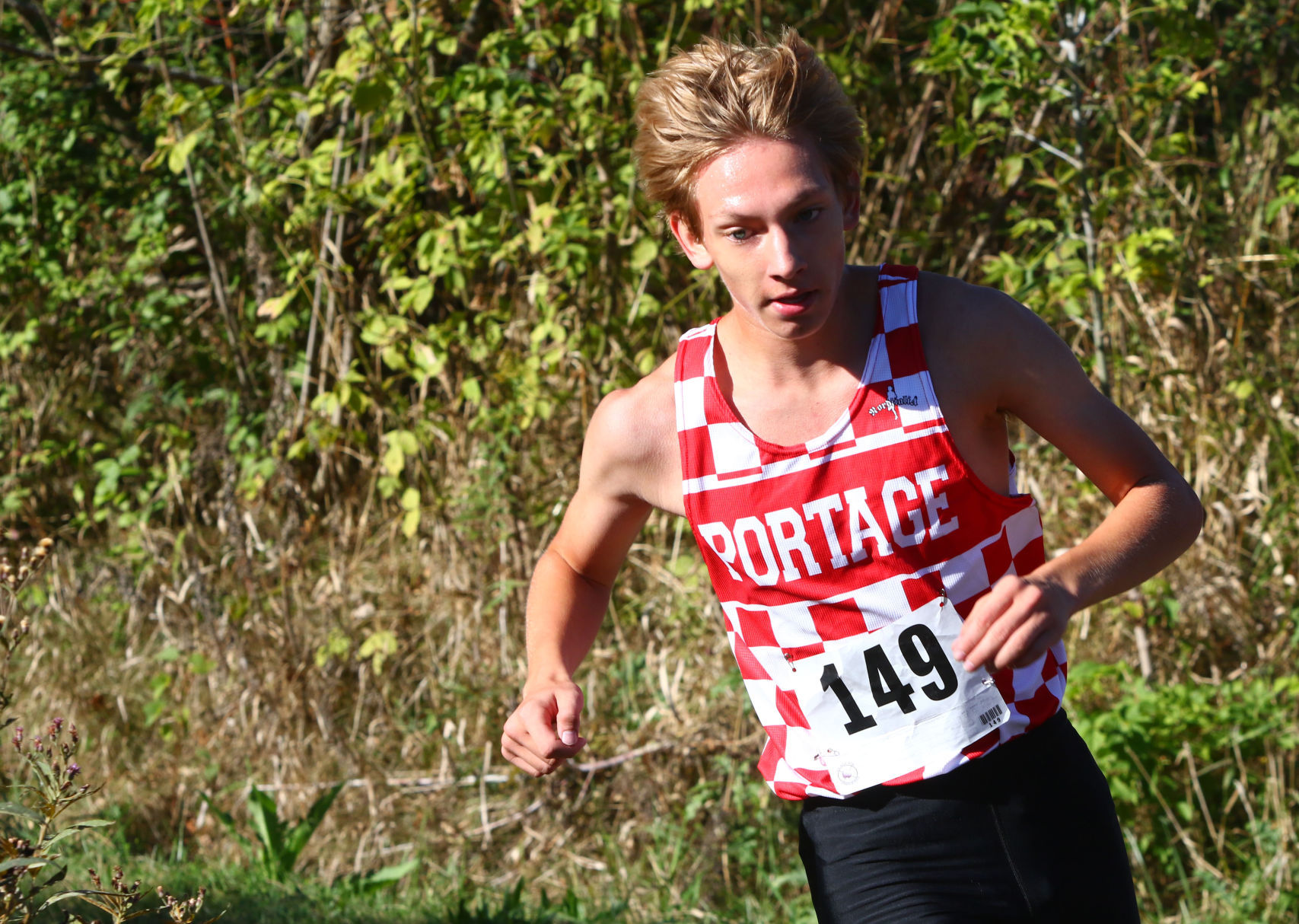 Gallery: Duneland Athletic Conference cross country meet